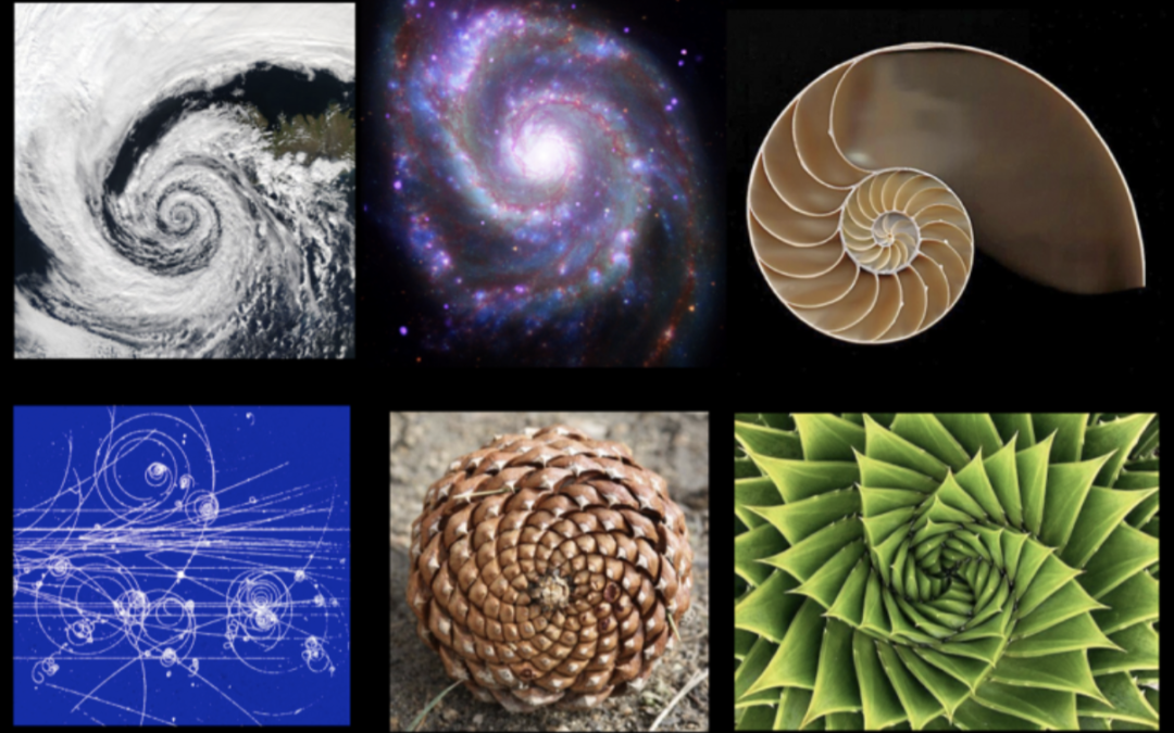 THE GOLDEN RATIO CALL FOR ARTISTS TO EXHIBIT AT THE GMEINER