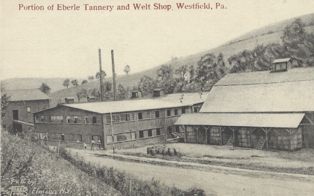 TANNERIES OF TIOGA COUNTY PRESENTATION AT THE GMEINER